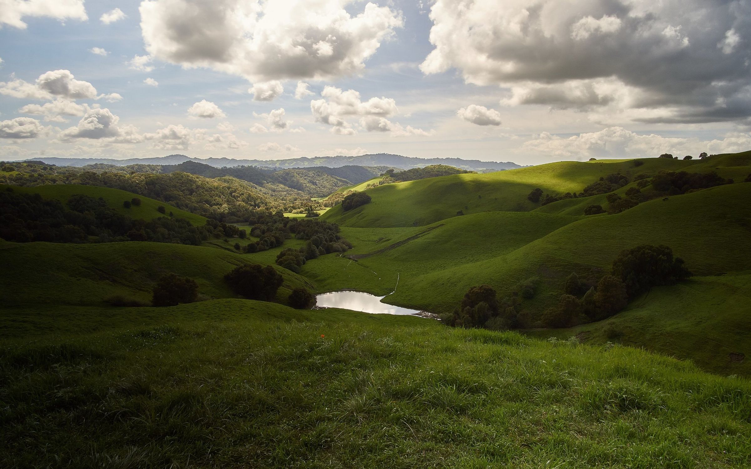 Green rolling hills, oak groves and a small pond in Briones Regional Park, Contra Costa County